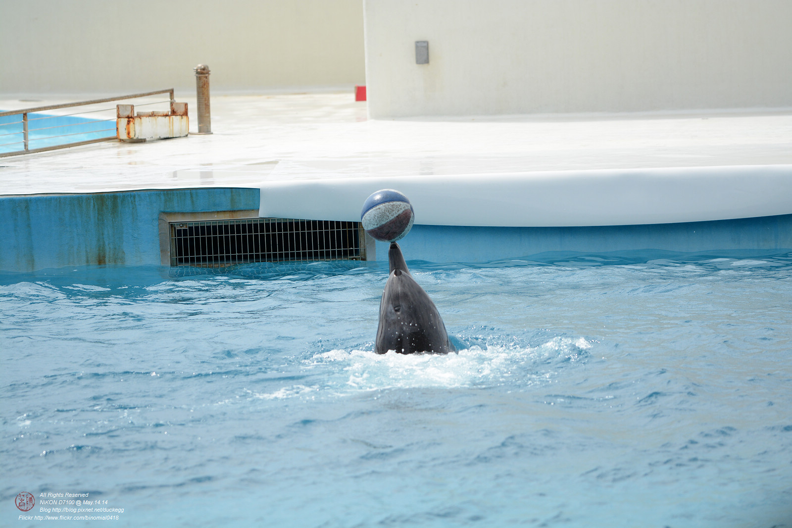 DSC_3067.jpg